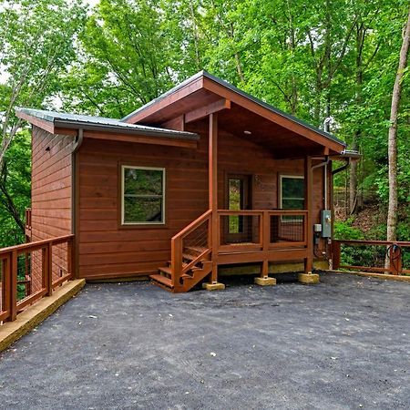 New Cozy Mountain Cabin Hot Tub Near Downtown Гатлінбург Екстер'єр фото